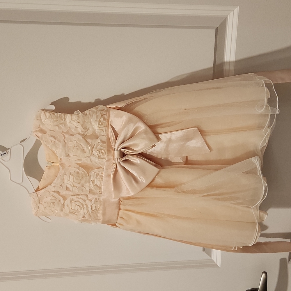 Formal Dress 12-18M